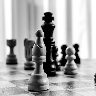 Home Page chess, board game, politics, intriege, strategy, intelligence, chess board, king, tower, checkmate, matt, queen, lady, runner, chess game, to play, tactics, think, playing field, farmers, chess piece, figure, game board, game, chess, chess, chess, chess, chess, politics, politics, politics